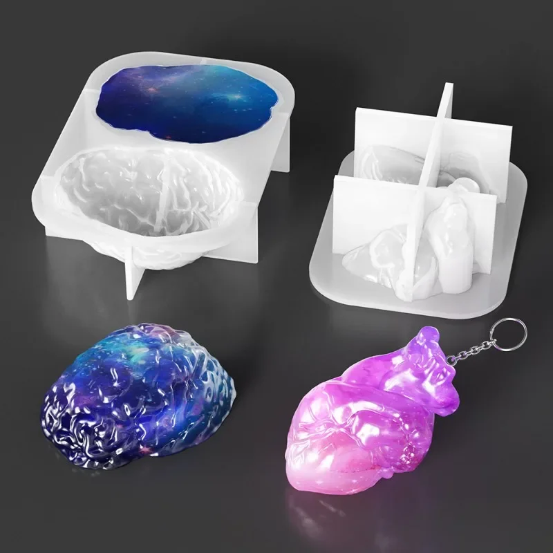 Silikon Kalıp Seti İnsan Organ - Silicone Epoxy Resin Molds Set incelemesi ve fiyatı